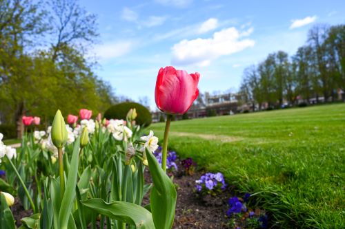 foto pro potěšení